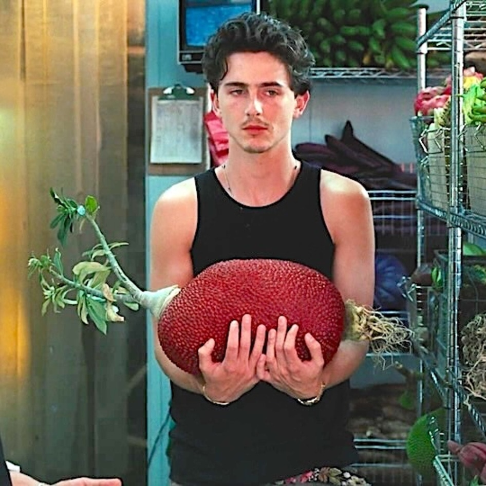 What's That Giant Mystery Fruit in Timothée Chalamet’s Cash App Ad? A Vegan Meat Powerhouse
